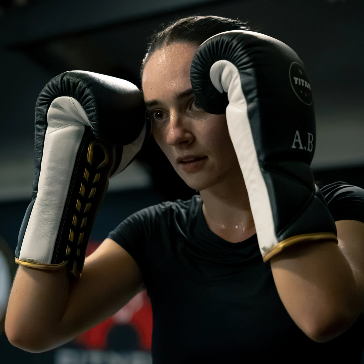 Titan 10oz Horsehair Lace-Up Fight Gloves in Midnight Black — product view 10