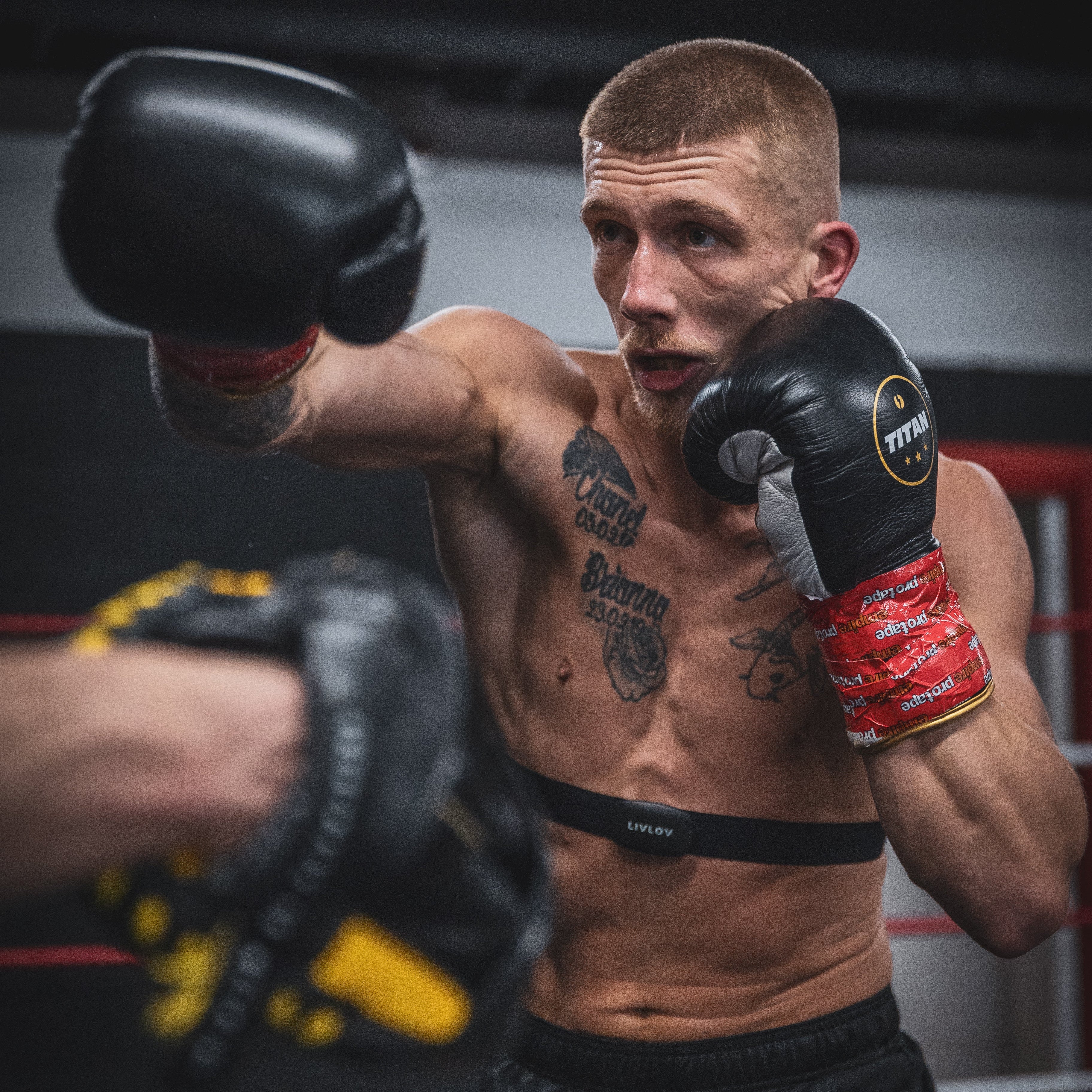 10oz HORSE HAIR FIGHT GLOVES MIDNIGHT BLACK