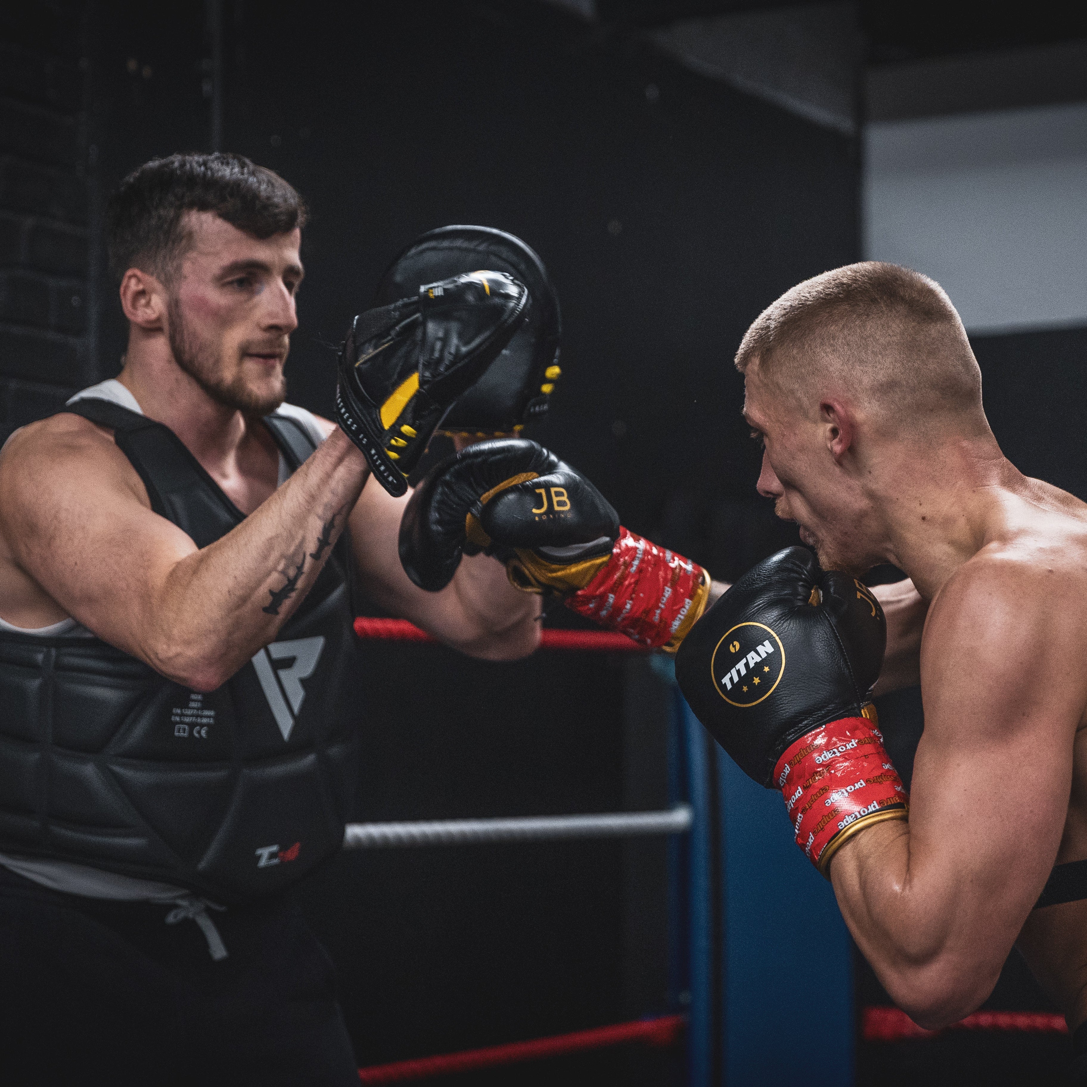 10oz HORSE HAIR FIGHT GLOVES MIDNIGHT BLACK