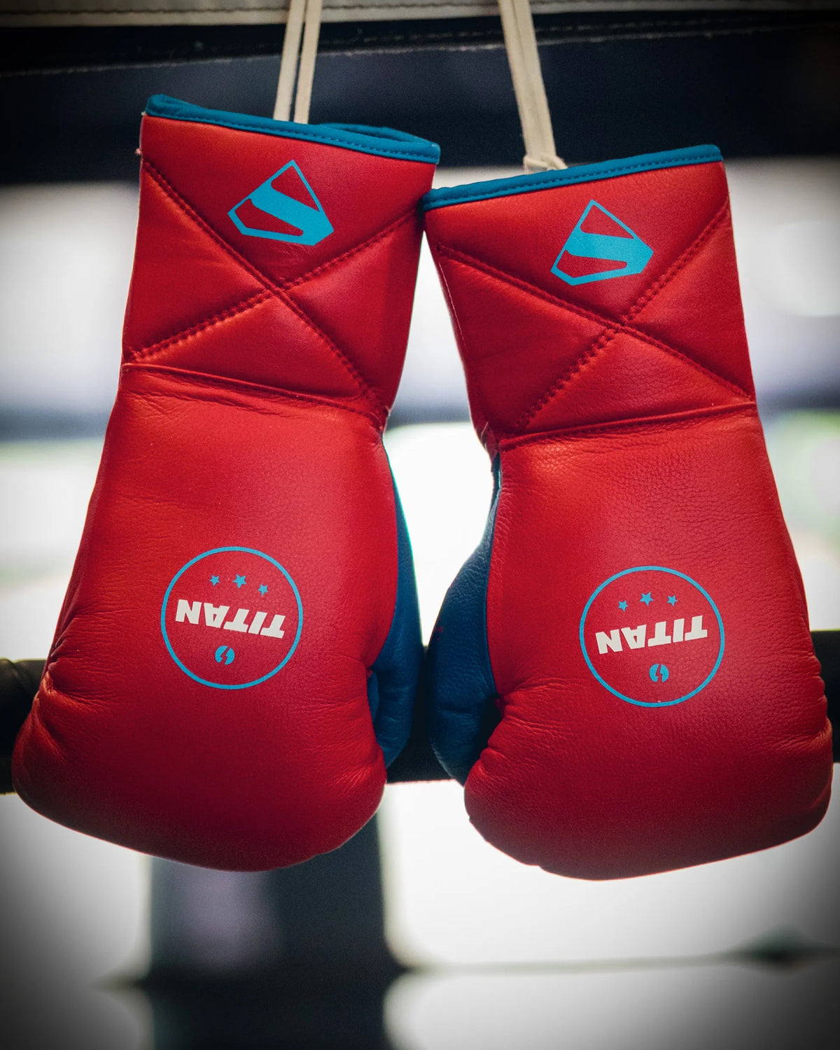Titan Bespoke 10oz horsehair fight gloves in custom red leather with light blue trim and blue Titan roundel, hanging on the ring ropes