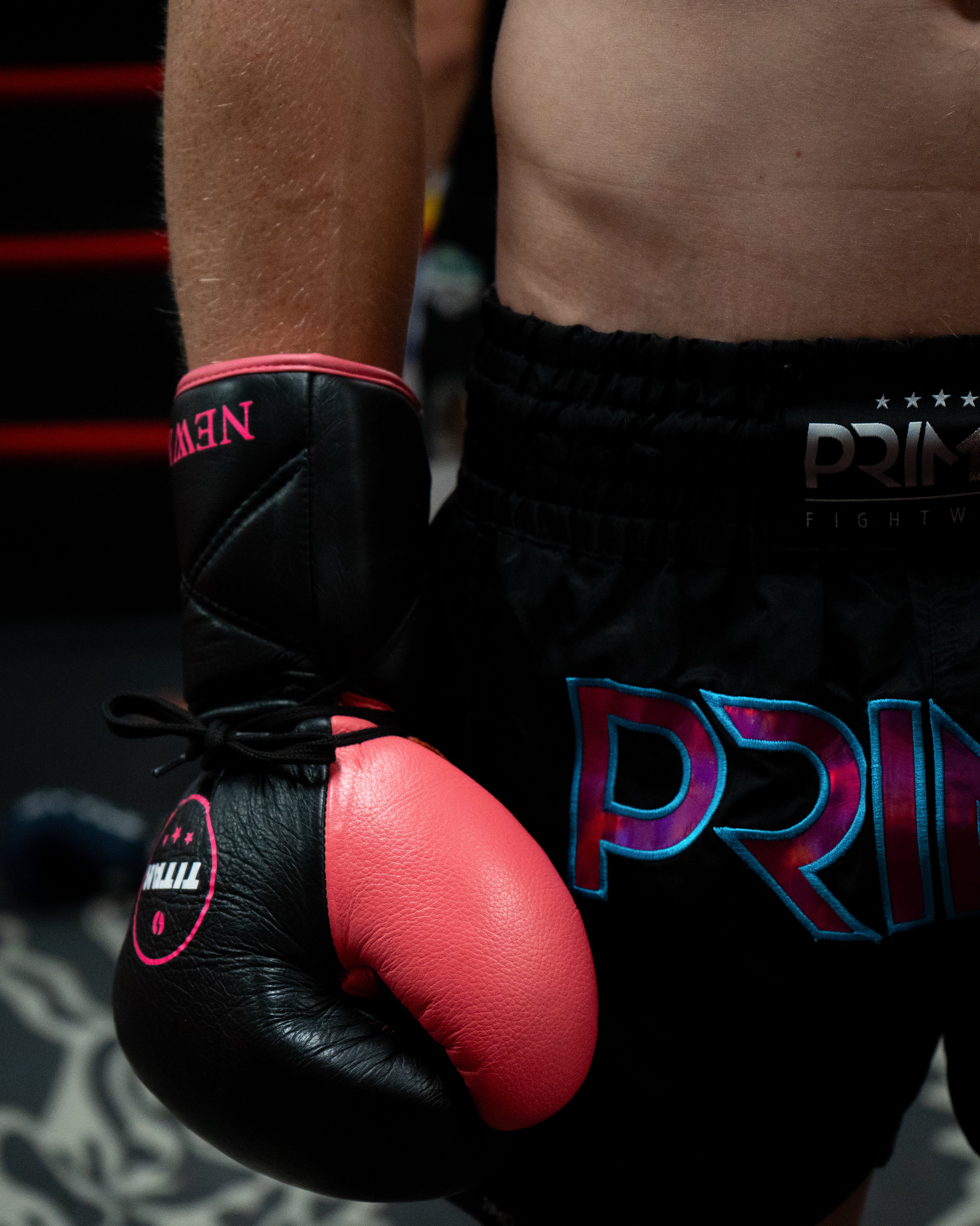 BESPOKE 10oz HORSE HAIR FIGHT GLOVES