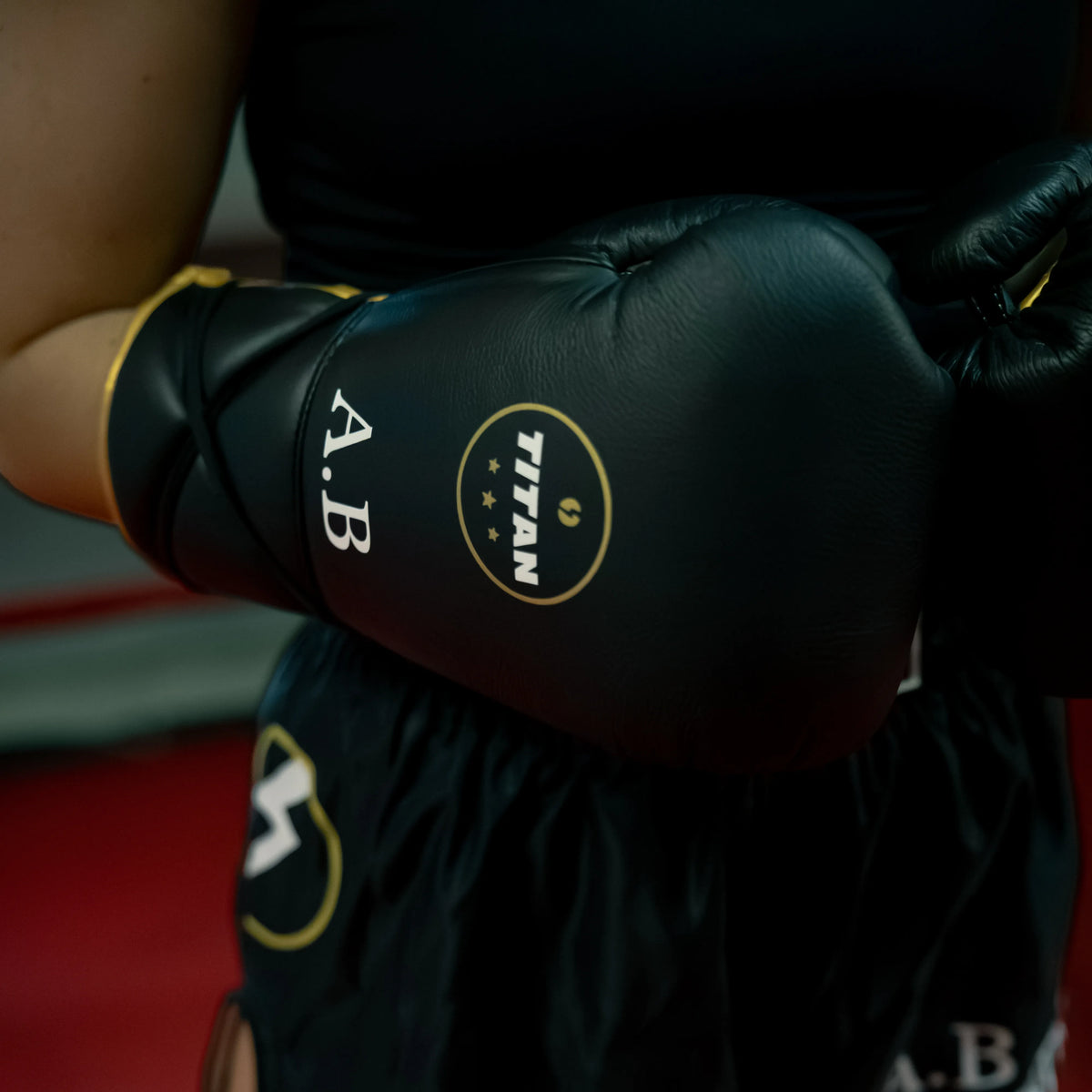 Titan 10oz Horsehair Lace-Up Fight Gloves in Midnight Black — product view 5