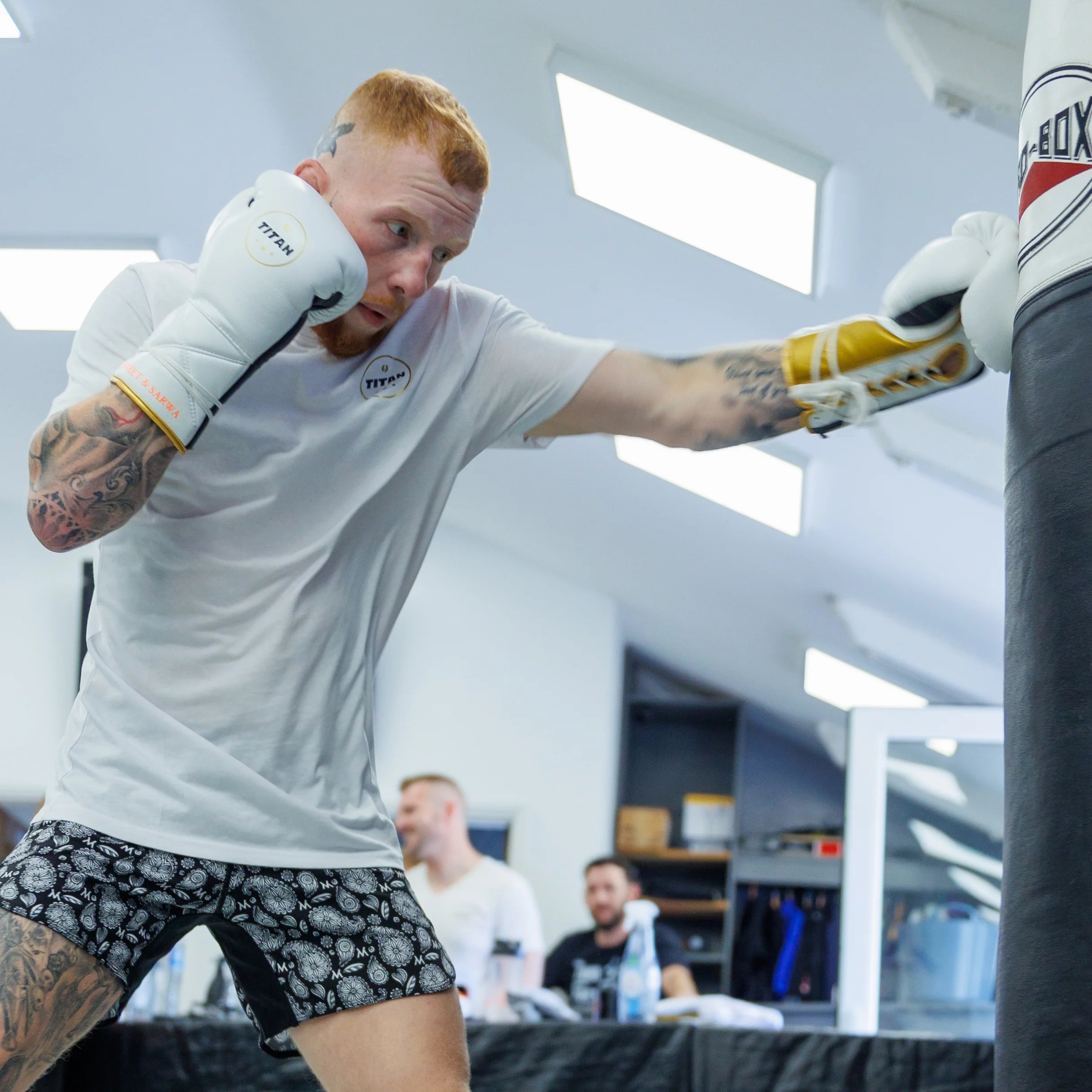 10oz Horsehair Lace-Up Fight Gloves – Polar White