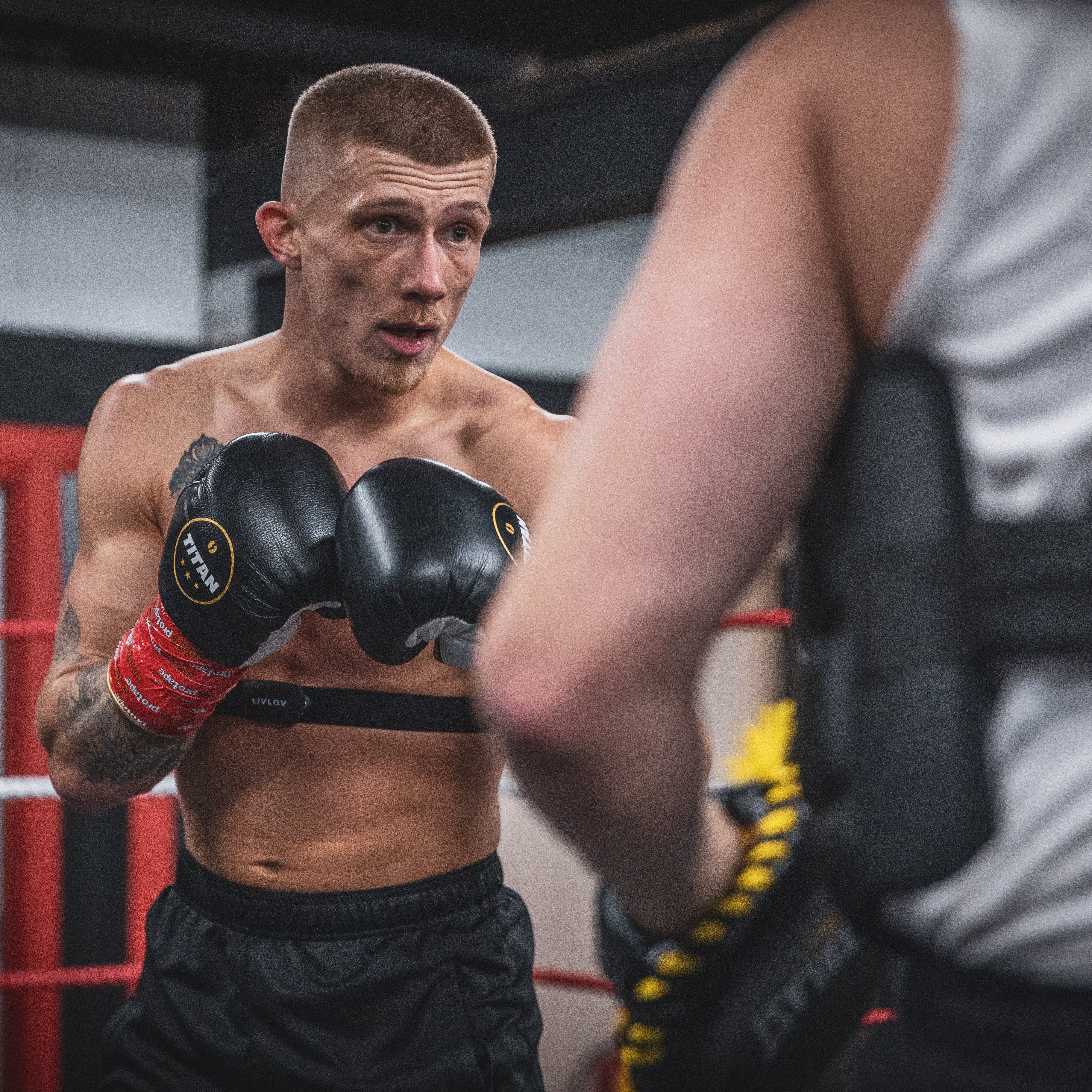 10oz HORSE HAIR FIGHT GLOVES MIDNIGHT BLACK