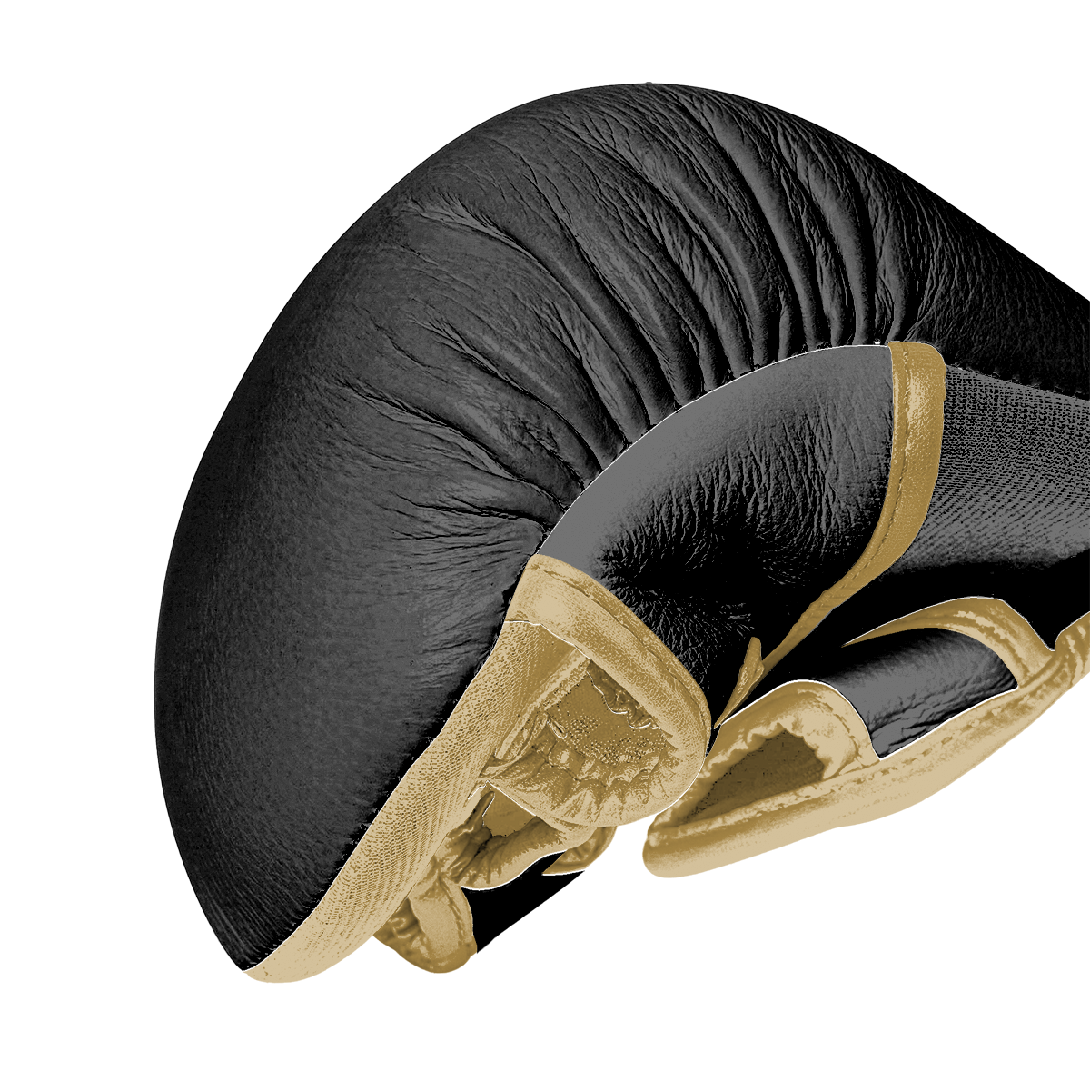 VELOCITY MMA