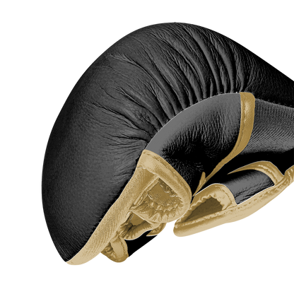 VELOCITY MMA