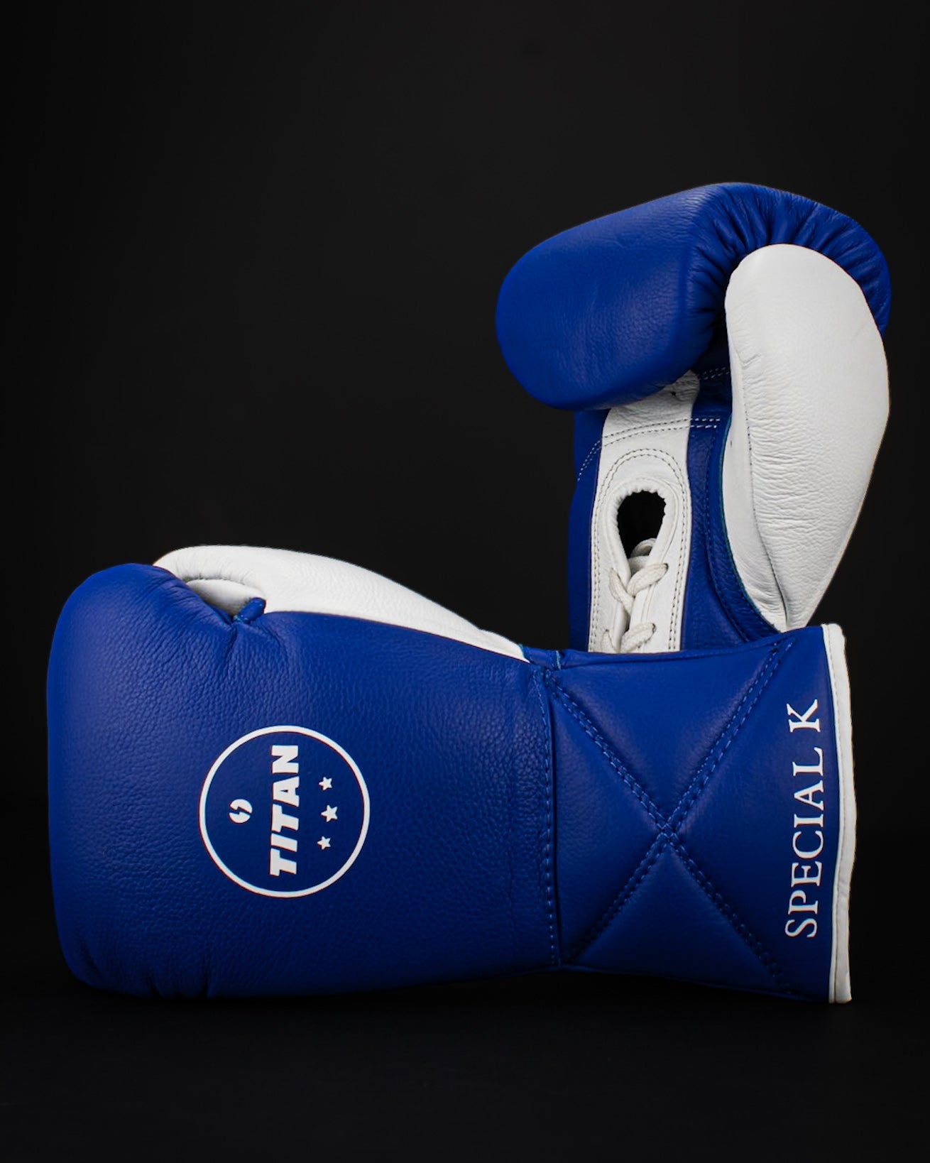 BESPOKE 10oz HORSE HAIR FIGHT GLOVES