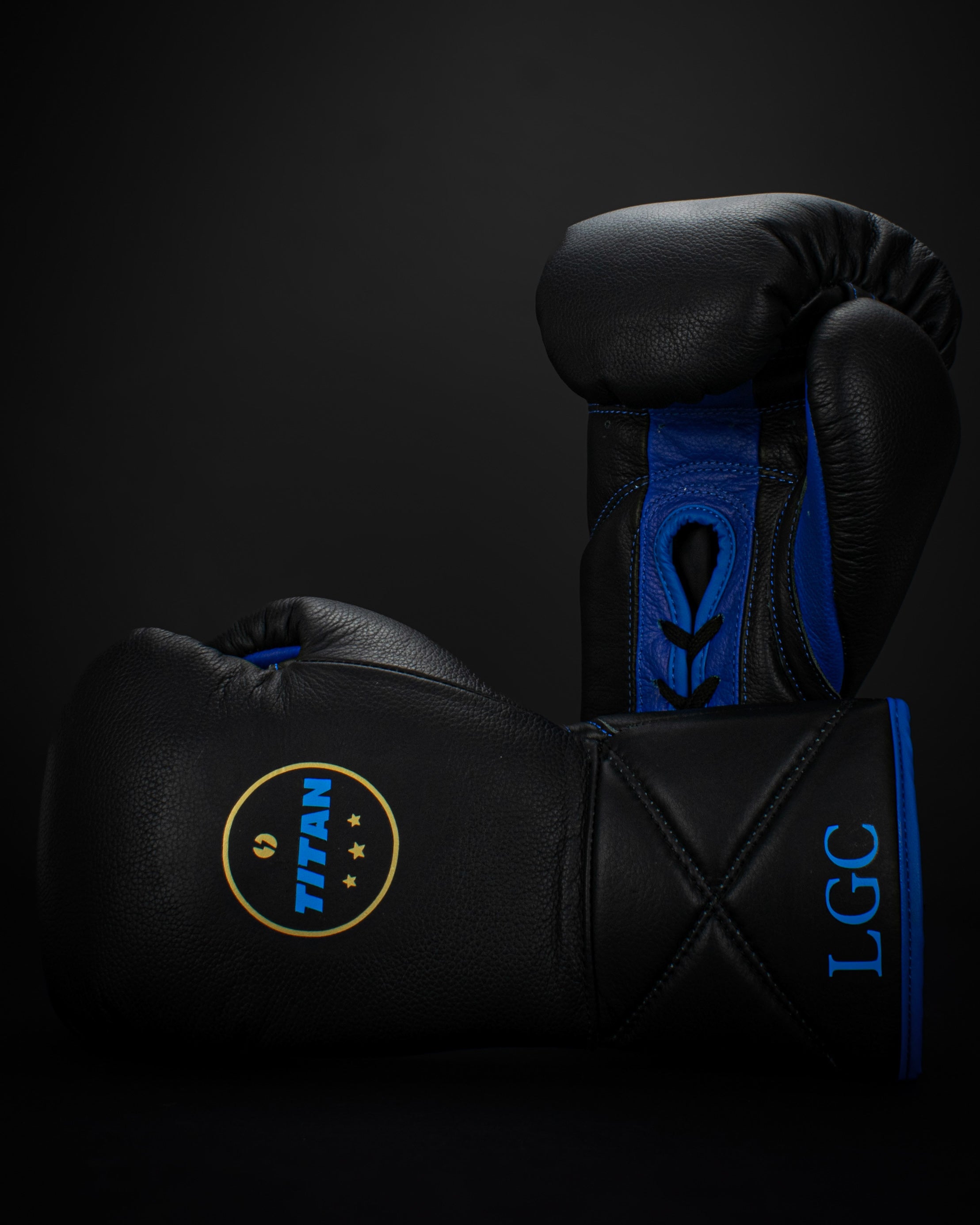 BESPOKE 10oz HORSE HAIR FIGHT GLOVES