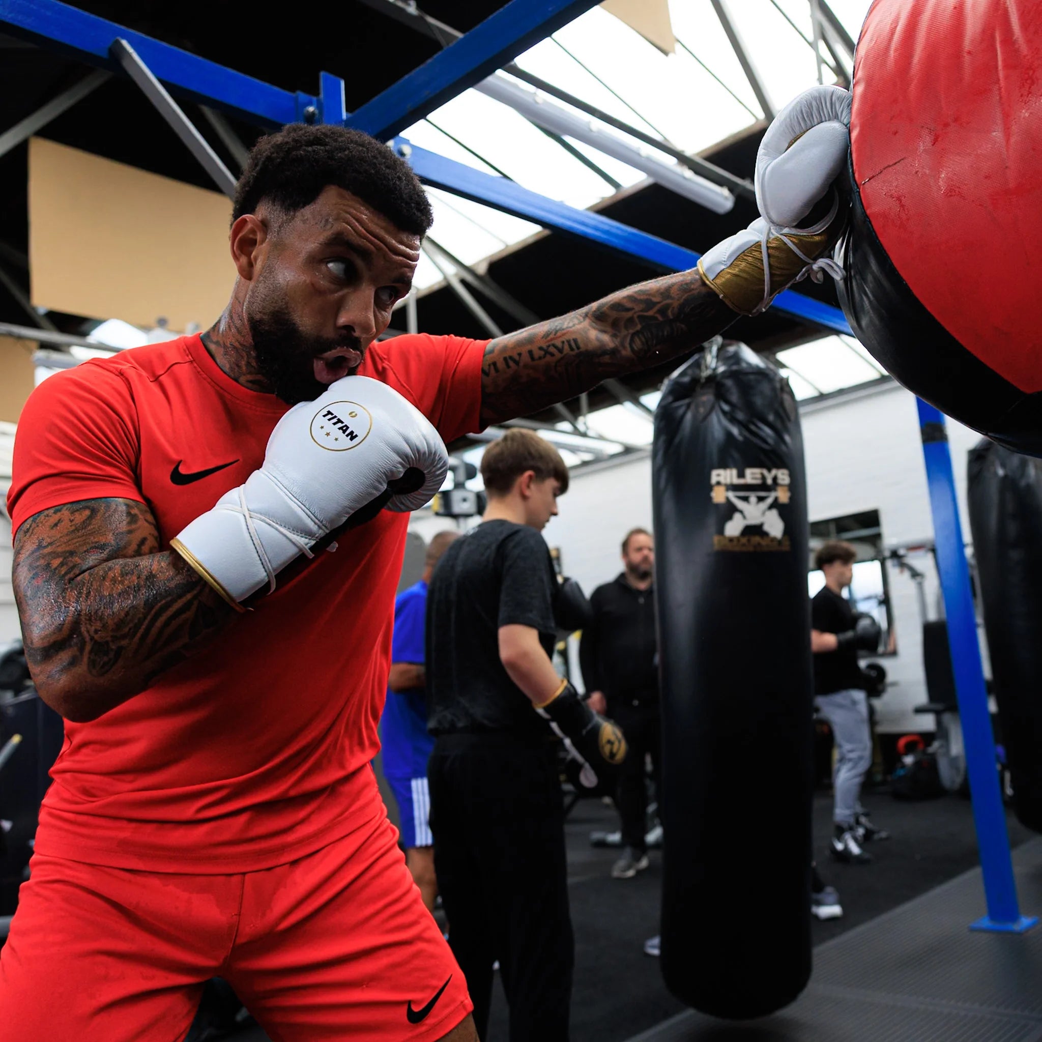 10oz Horsehair Lace-Up Fight Gloves – Polar White