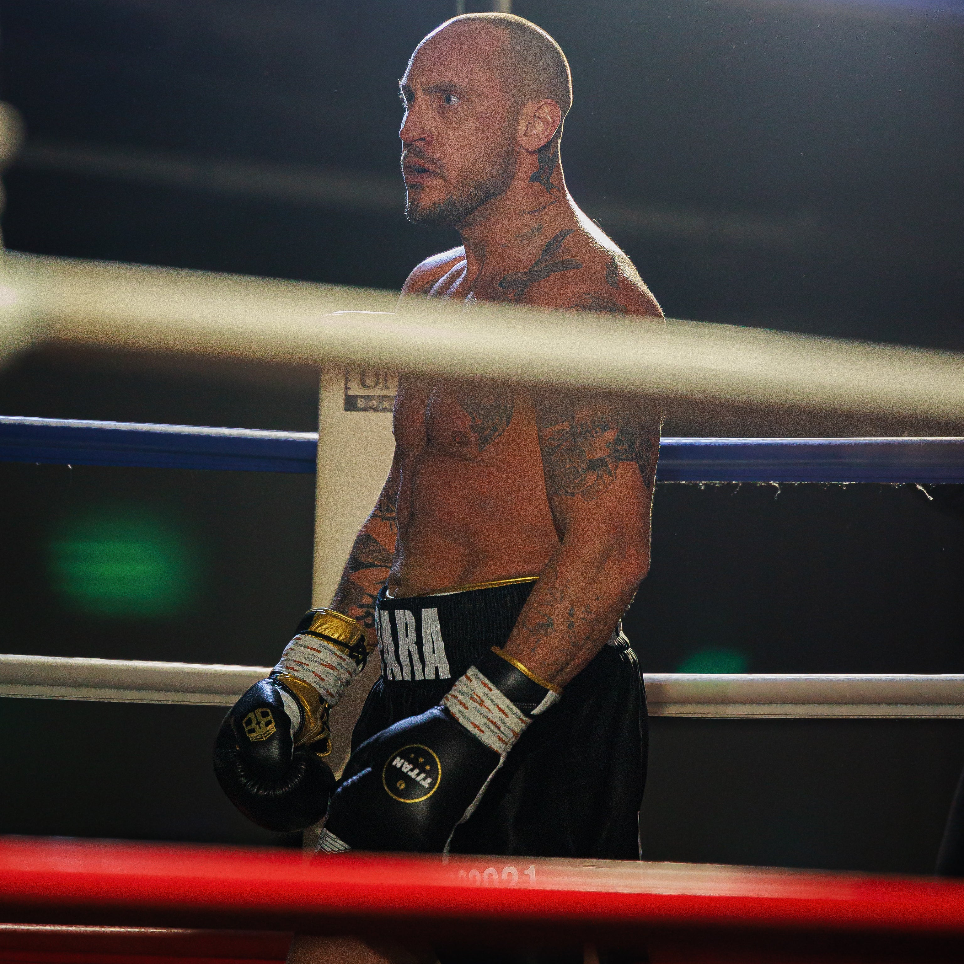 10oz HORSE HAIR FIGHT GLOVES MIDNIGHT BLACK