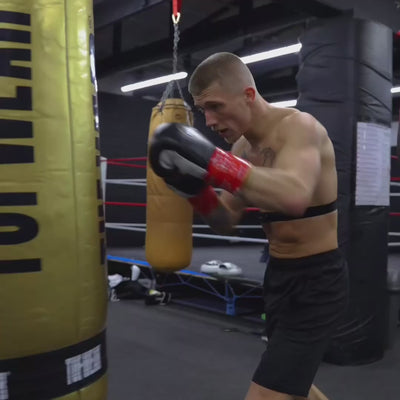 10oz HORSE HAIR FIGHT GLOVES MIDNIGHT BLACK