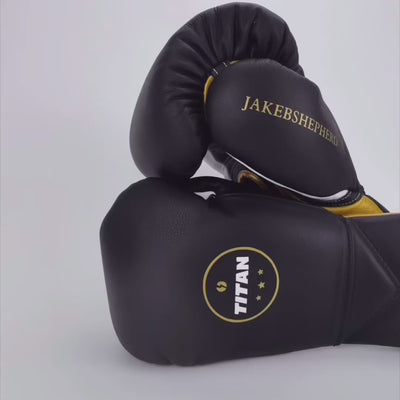 10oz HORSE HAIR FIGHT GLOVES MIDNIGHT BLACK